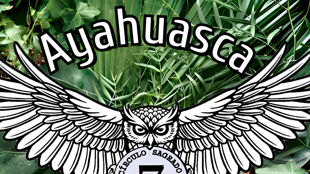 Foto da capa de Circulo Sagrado 7 Encruzilhadas Ayahuasca Rio de Janeiro